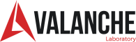 Avalanche Lithuania logo